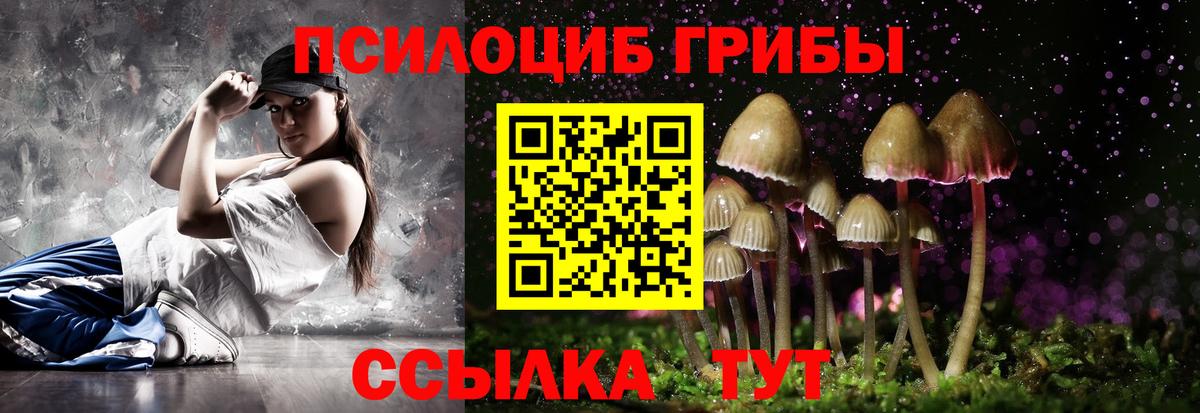Уссурийск  даркнет сайт  Вход с VPN  Псилоцибиновые грибы Psilocybe 